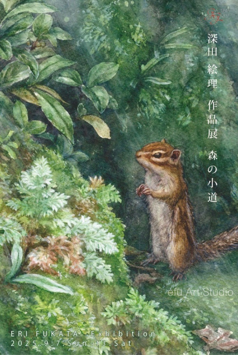 Into the forest 2025